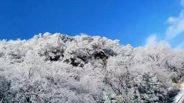 逗小猴开心系列213