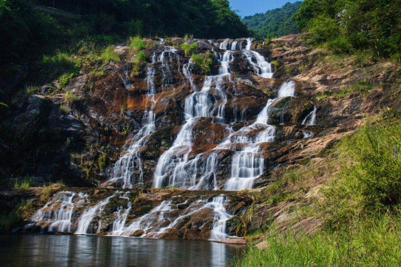龙大美食:目前能繁母猪存栏量还处于高位,2024年生猪供给压力仍较大