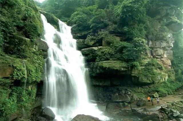 衡山县“就业援助月”活动如火如荼进行中